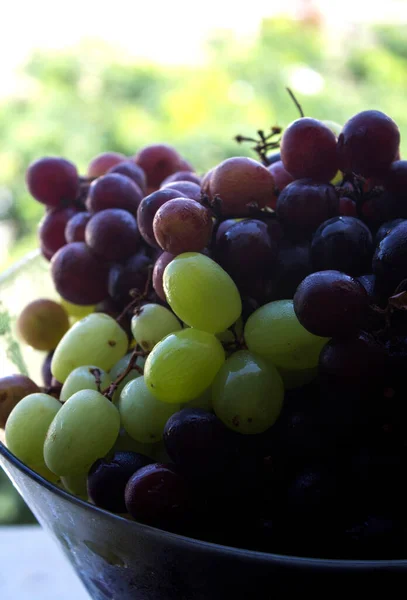 Diferentes Tipos Uvas Vaso Vidro Frutas Verão Fecham Foto Comer — Fotografia de Stock
