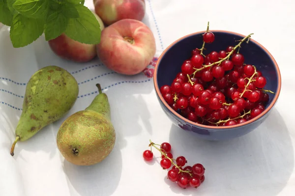 Rote Johannisbeere Birnen Pfirsiche Und Pfefferminzblätter Auf Einem Tisch Einfache — Stockfoto