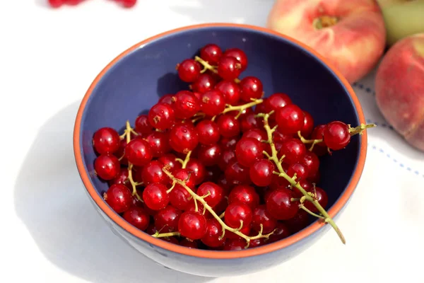 Rote Johannisbeere Einer Blauen Schüssel Nahaufnahme Von Saisonalen Beeren Frisches — Stockfoto