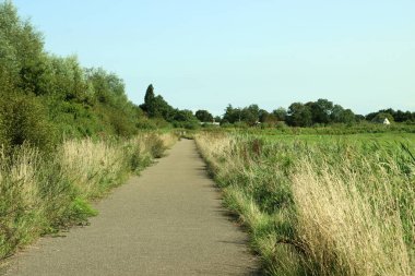 Yeşil tarlalar arasındaki boş kırsal yol. Huzurlu bir manzara. Yaz manzarası fotoğrafı. 