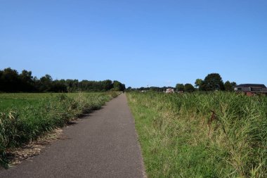 Yeşil tarlalar arasındaki boş kırsal yol. Huzurlu bir manzara. Yaz manzarası fotoğrafı. 