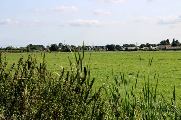 Grönt Fält Blå Molnig Himmel Sommarlandskap Nederländska Landsbygden Foto Jordbruksområdet — Stockfoto