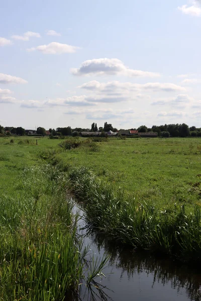 Yeşil alan, mavi bulutlu gökyüzü. Yaz manzarası. Hollanda kırsal fotoğrafı. Tarım alanı.