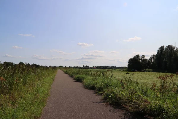 Yeşil tarlalar arasındaki boş kırsal yol. Huzurlu bir manzara. Yaz manzarası fotoğrafı. 
