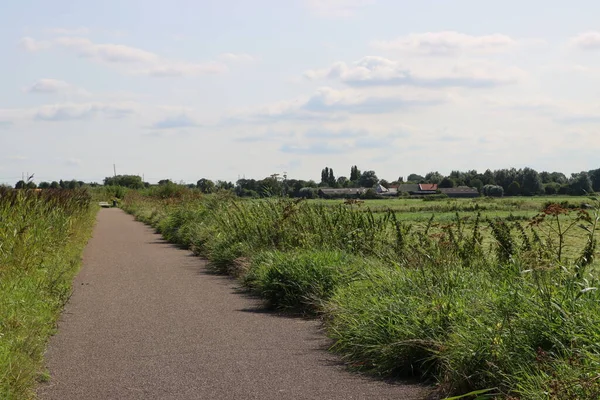 Yeşil tarlalar arasındaki boş kırsal yol. Huzurlu bir manzara. Yaz manzarası fotoğrafı. 