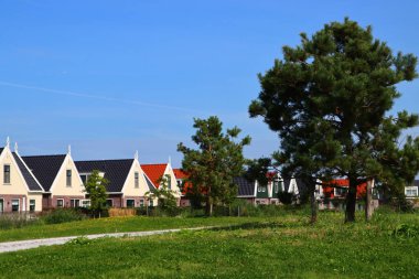 Otantik Hollanda mimarisi. Hollanda 'nın geleneksel binaları. Şehir manzaralı şirin bir fotoğraf. Avrupa 'da yaz. 