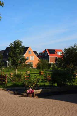 Hollanda kır evi, yeşil çimen, iki at, mavi gökyüzü. Kırsal alan. Hollanda 'nın doğası. Hollanda kırsal bölgesi. Ahşap evler, yeşil ağaçlar, mavi gökyüzü. Hollanda 'nın güzel doğası. 