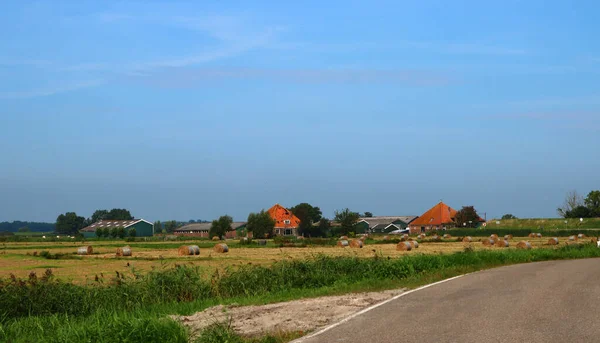 オランダの田園風景 農業分野 赤い屋根の家 乾燥した草 オランダの美しい自然 — ストック写真