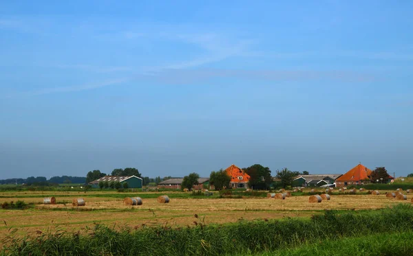 Paisagem Rural Holandesa Campo Agrícola Casas Telhados Vermelhos Grama Seca — Fotografia de Stock