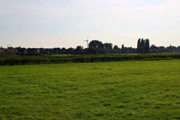 Landsbygdslandskap Grön Gräsmatta Trähus Träd Solig Dag Foto Nederländska Byn — Stockfoto