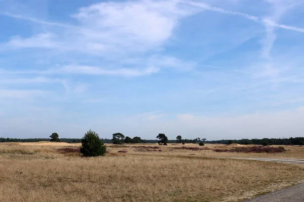 Duna Areia Dourada Céu Azul Com Nuvens Dunas Areia Parque — Fotografia de Stock