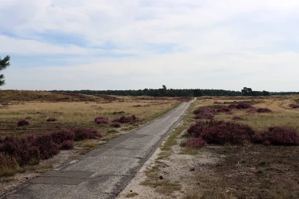 시골길 네덜란드의 호지볼 에서의 초가을 — 스톡 사진