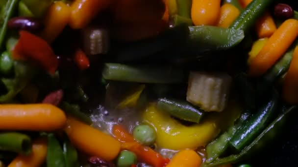 Sappige Kleurrijke Groente Stoofpot Koken Een Pan Groente Stoofschotel Heerlijk — Stockvideo