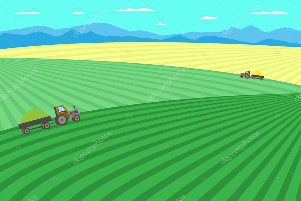 Farm and agriculture. Rural landscape with field, trees, grass and cows, agricultural machinery. Eco clean area with blue sky, mountains and clouds. Village in the summer. Vector flat illustration.