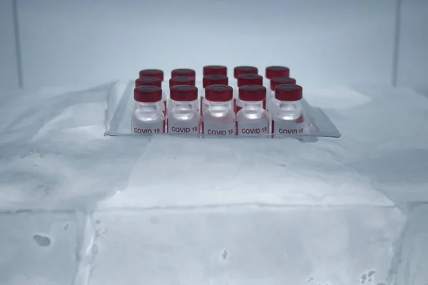 Covid 19 virüsü için bir grup aşı korunması ve taşınması için bir buz bloğunda.