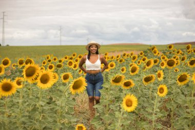 Genç, çekici, latin esmer kadın beyaz örgü örer, kot pantolon giyer ve şapka giyer. Ayçiçeği tarlasında yürürken gülümser ve mutlu olur. Kavram: doğa, tarım, kırsal.