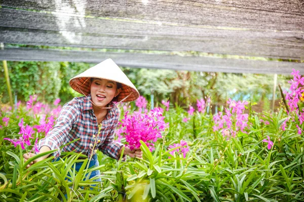 Lady Zahradník Sobě Vietnamské Slunce Klobouk Sbírat Orchideje Prodej — Stock fotografie