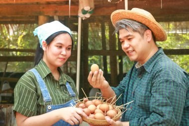 Erkekler ve kadınlar hasatla mutlu tavuk çiftlikleri yapıyorlar..