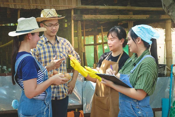 Asian farmers group working together to make organic chicken egg farms without chemicals that are good for health.