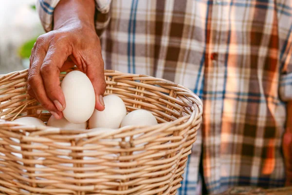 Çiftçiler yiyecek olarak yenmek üzere birçok ördek yumurtasını bir sepette tutarlar..