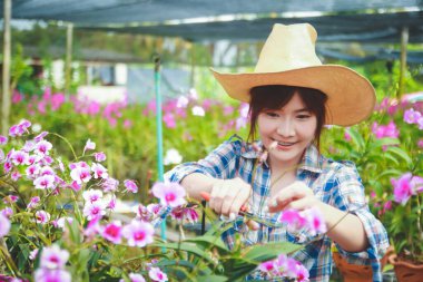 Uzun kollu ekose gömlek giyen Asyalı kadınlar. Orkide Bahçesi Sahibi yurtdışına ihracat yapıyor. Onlara göz kulak olacak..