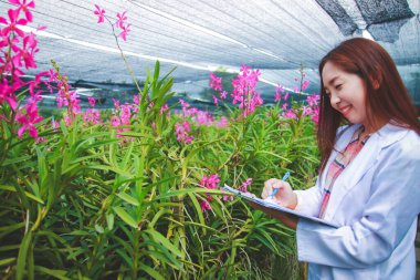 Genç ve güzel bir araştırmacı deneyi incelemek için çiçek hakkında bilgi yazacak..