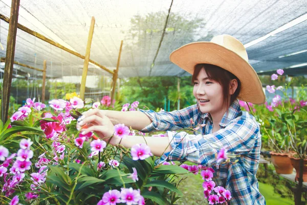 Asian Girl Orchid Farm Owner Wearing Hat She Pruning — Stock Photo, Image