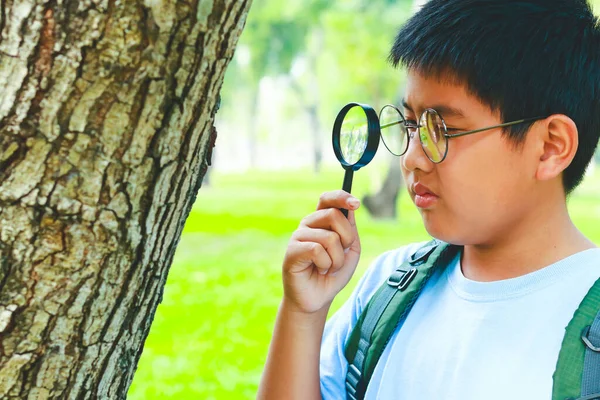 Pojken Nyfiken Använd Ett Förstoringsglas För Att Titta Trädet Skoltid — Stockfoto