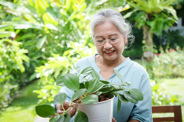 Starší Asijské Ženy Rostliny Doma Rádi Starají Dobře Pojem Žít — Stock fotografie