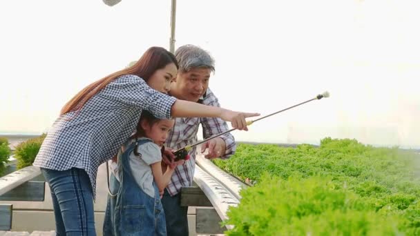 亚洲农业家庭水栽蔬菜种植有助于浇灌蔬菜他们很高兴 温室采用现代蔬菜种植技术的农业概念 — 图库视频影像