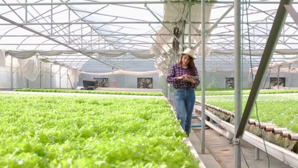 Asiatische Bäuerin Hydroponics Farming Aufnahme Der Produktionsdaten Landwirtschaftliches Konzept Mit — Stockvideo