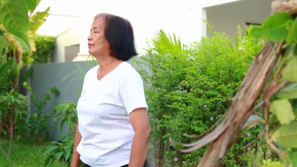 Femme Âgée Asiatique Faisant Exercice Maison Pour Être Bonne Santé — Video