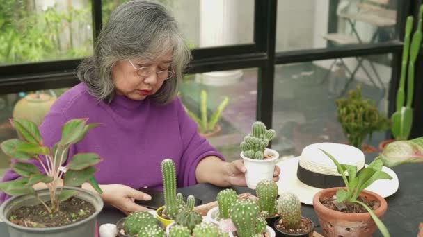 Asiatisk Äldre Kvinna Stannar Hemma Hon Tycker Att Plantera Träd — Stockvideo