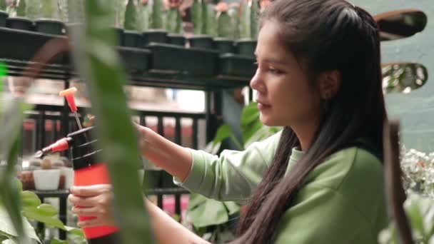 Belle Femme Asiatique Entreprise Plantation Arbres Vendre Elle Arrose Les — Video