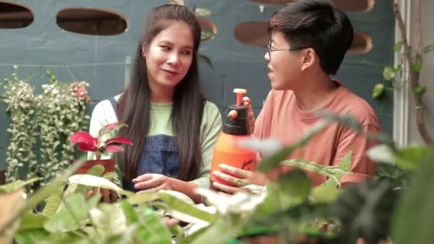 一对亚洲女同性恋夫妇正在植树出售 他们一起给植物浇水 享受在家工作的乐趣 女同性恋者 男同性恋者 双性恋者和变性者 — 图库视频影像