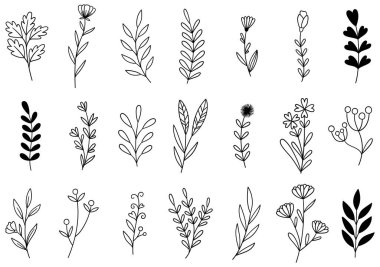 0288 el çizimi çiçekler karalama