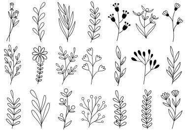 0298 el çizimi çiçekler karalama