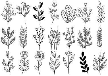 0338 el çizimi çiçekler karalama