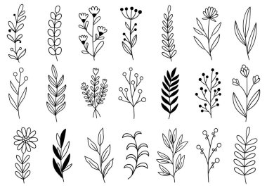 0383 el çizimi çiçekler karalama