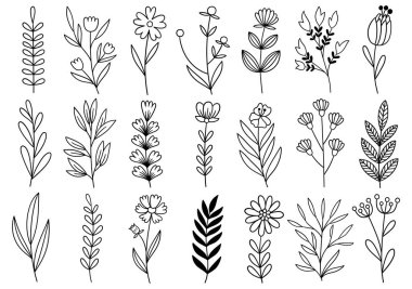 0384 el çizimi çiçekler karalama