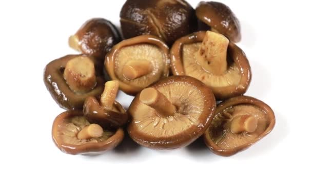 Asian Shiitake Mushrooms White Background — Stock Video