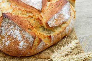 Kumaş peçetede taze pişmiş beyaz ekmek ve iki dikenli buğday..