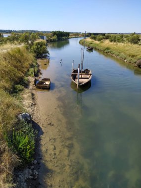 Yazın nehir manzarası.