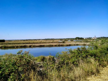 Nehrin yaz manzarası 