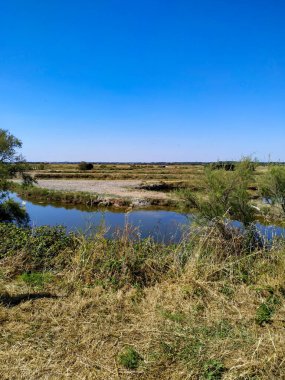 Nehrin yaz manzarası 
