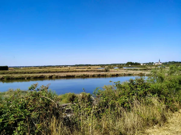 Nehrin yaz manzarası 