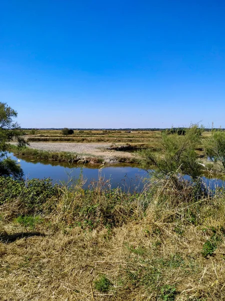 Nehrin yaz manzarası 