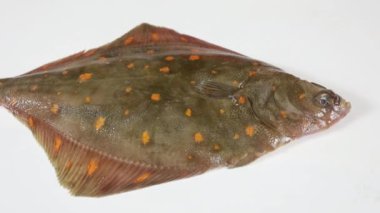 Beyaz arka planda bütün çiğ balık, video 