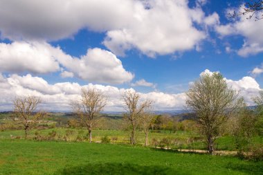 Güneşli bir günde yeşil tarlalı kırsal alan, Lozre, Fransa 'da kır manzarası