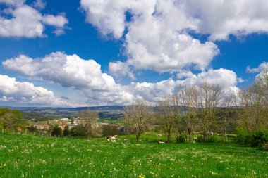 Çiçeklerle dolu bir yaz manzarası